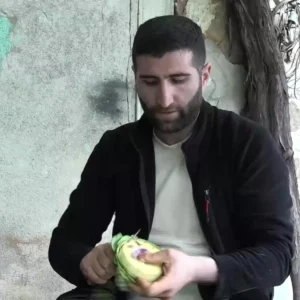 Türkiye'de enginar üretiminde ikinci sırada yer alan Bursa'da, hasat sezonunun başlamasıyla birlikte 'enginar soyucu' olarak adlandırılan ustalar da yoğun mesai yaşıyor.