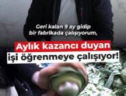 Enginar soyarak ayda 240 bin lira kazanıyor!