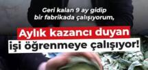 Enginar soyarak ayda 240 bin lira kazanıyor!