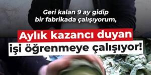 Enginar soyarak ayda 240 bin lira kazanıyor!