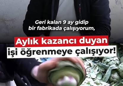 Enginar soyarak ayda 240 bin lira kazanıyor!