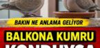 Pencerene Kumru Konduysa Bu Haberi Okumadan Geçme? İşte Taşıdığı Mesaj!