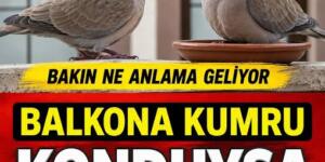 Pencerene Kumru Konduysa Bu Haberi Okumadan Geçme? İşte Taşıdığı Mesaj!