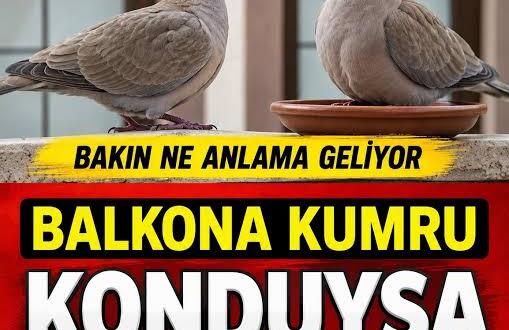 Pencerene Kumru Konduysa Bu Haberi Okumadan Geçme? İşte Taşıdığı Mesaj!