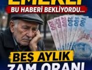 2026 Temmuz Emekli Zammı Ne Kadar Olacak? Emeklilerin 5 Aylık Zam Oranı Netleşti
