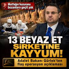 Beyaz et sektörüne dev operasyon! Bakan Gürlek duyurdu: 13 şirkete denetim kayyumu atandı