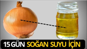 2) Soğan Suyu
Soğan doğal antibiyotiklerden biridir. Soğanın hastalıklara karşı olan etkisi ise epey fazladır.
Antioksidan etkili olduğu için vücuda girmeye çalışan bakterileri kovar.