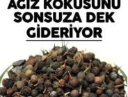 Ses Kısıklığını Tedavi Ediyor Ağız Kokusunu Sonsuza Dek Gideriyor!
