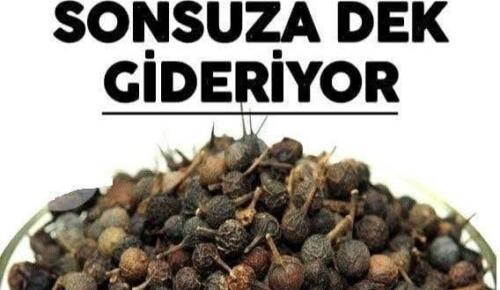 Ses Kısıklığını Tedavi Ediyor Ağız Kokusunu Sonsuza Dek Gideriyor!