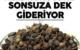 Ses Kısıklığını Tedavi Ediyor Ağız Kokusunu Sonsuza Dek Gideriyor!
