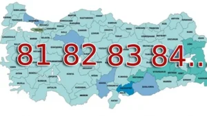 100" numaralı plaka kimin olacak? Çalışmanın en dikkat çekici detaylarından biri ise aynı adı taşıyan ilçeler oldu. Zonguldak Ereğli ve Konya Ereğli'nin il olması halinde isim karmaşası yaşanabileceği belirtiliyor. Ayrıca yeni illere verilecek plaka kodları da tartışma konusu olurken, "100" numaralı plakanın hangi ile verileceği şimdiden merak ediliyor.